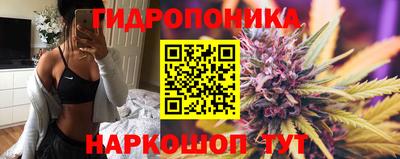 гашик Бузулук
